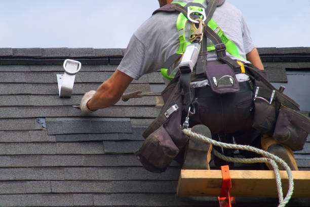 Protect Your Investment: Professional Roof Replacement Contractors
