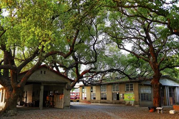 Tips for Making the Most of Your Stay at Westgate Resorts